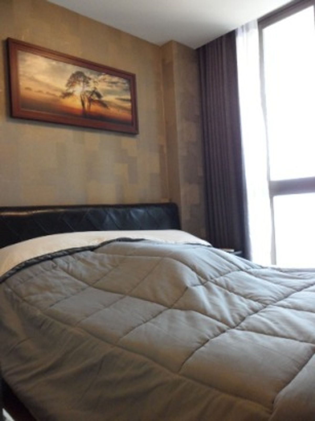 ขายคอนโดอ่อนนุช อุดมสุข : Ideo Mix Sukhumvit 103 / 1 Bedroom (SALE WITH TENANT), ไอดีโอ มิกซ์ สุขุมวิท 103 / 1 ห้องนอน (ขายพร้อมผู้เช่า) PANG115