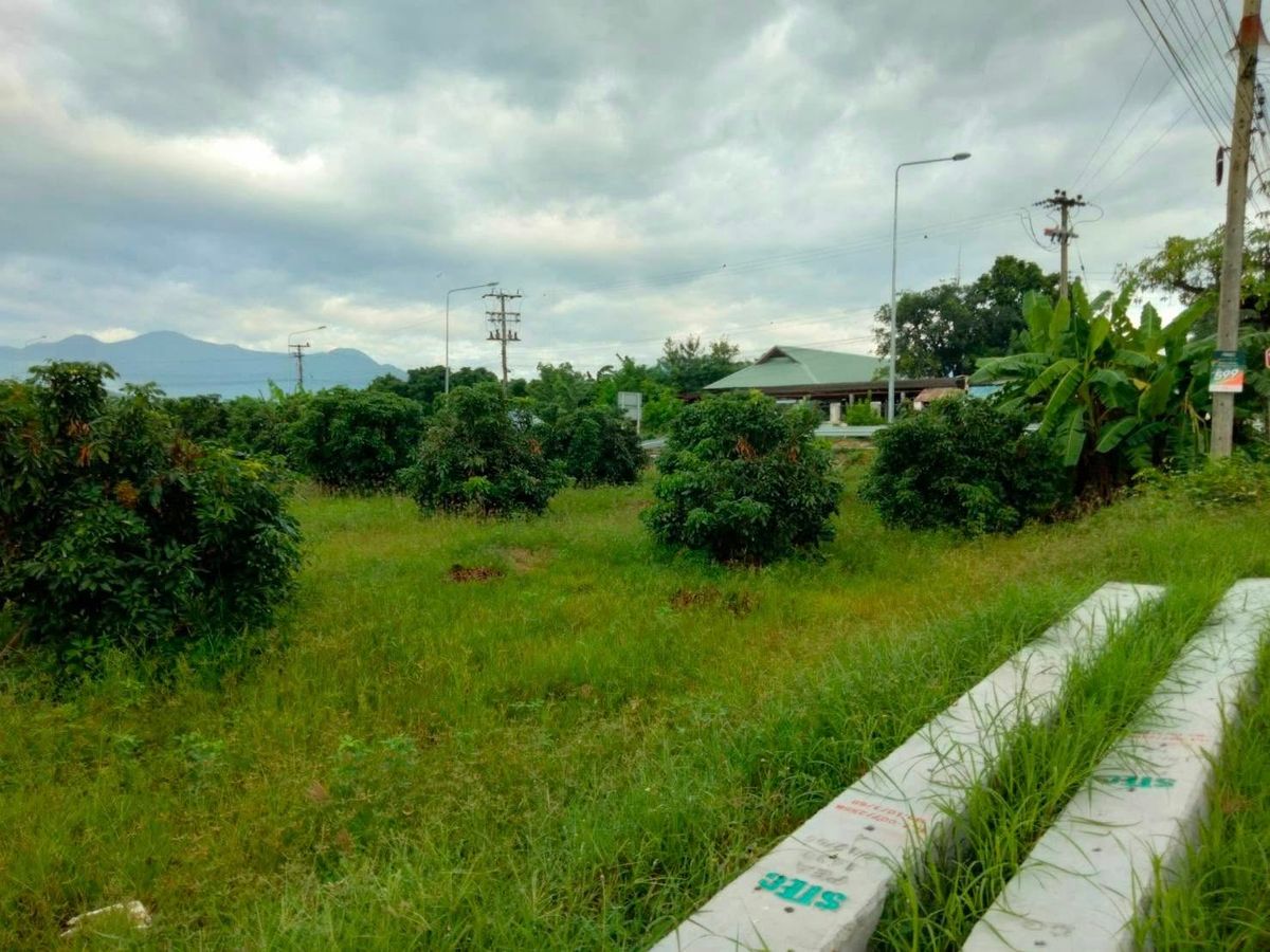 ขายที่ดินเชียงใหม่ : ขายที่ดิน ขนาด 4 ไร่ 18 ตร.วา (ติดถนน 3 ด้าน) อำเภอแม่วาง จ.เชียงใหม่ 