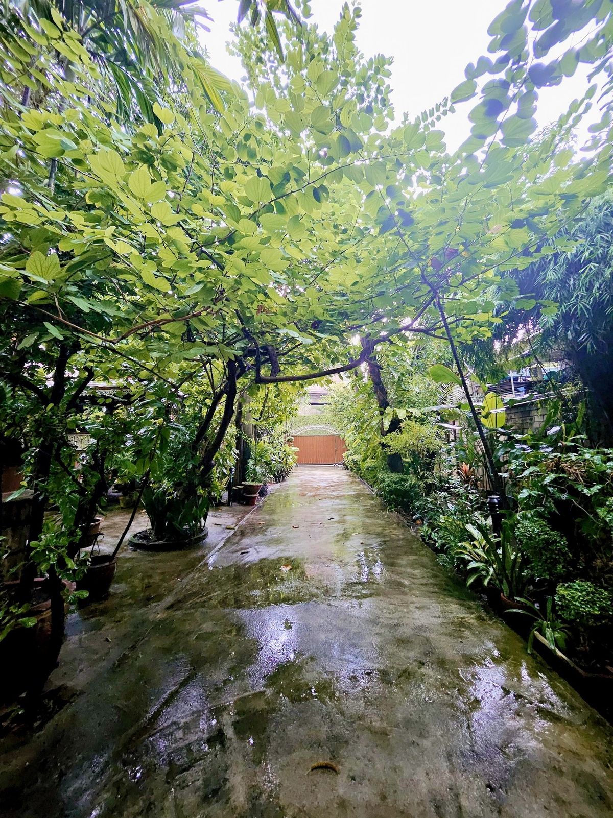 ขายที่ดินอารีย์ อนุสาวรีย์ : Rare item! ขายที่ดินบ้านเก่าแก่มรดกทรงคุณค่าใจกลางพหลโยธิน ขนาด 1 ไร่ 46 ตร.ว. |  เพียง 270 ม. จากปากซอย  |  เดินทางสะดวกเข้าออกหลายทาง