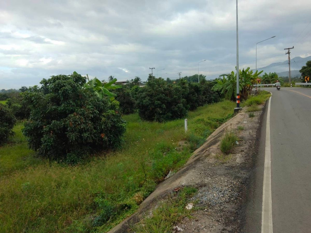 ขายที่ดินเชียงใหม่ : ขายที่ดิน ขนาด 4 ไร่ 18 ตร.วา (ติดถนน 3 ด้าน) อำเภอแม่วาง จ.เชียงใหม่ 