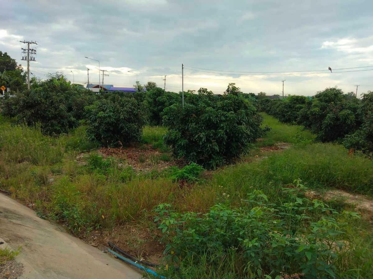 ขายที่ดินเชียงใหม่ : ขายที่ดิน ขนาด 4 ไร่ 18 ตร.วา (ติดถนน 3 ด้าน) อำเภอแม่วาง จ.เชียงใหม่ 