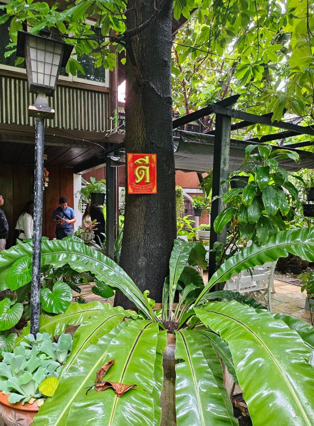 ขายที่ดินอารีย์ อนุสาวรีย์ : Rare item! ขายที่ดินบ้านเก่าแก่มรดกทรงคุณค่าใจกลางพหลโยธิน ขนาด 1 ไร่ 46 ตร.ว. |  เพียง 270 ม. จากปากซอย  |  เดินทางสะดวกเข้าออกหลายทาง