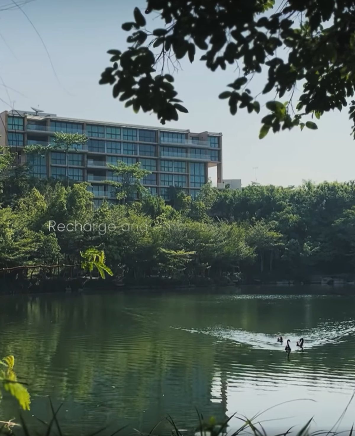 ให้เช่าคอนโดปากช่อง เขาใหญ่ : ให้เช่า - Swan Lake Residence  2 ห้องนอน 2 ห้องน้ำ 92 ตรม. Khaoyai : สวอนเลค เรสซิเดนท์ เขาใหญ่
