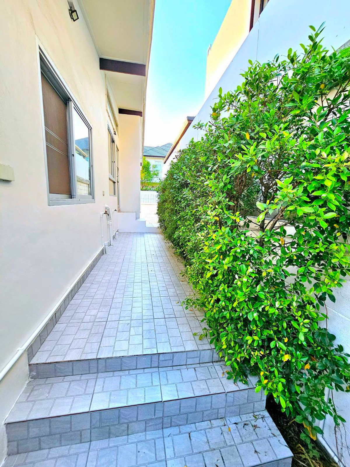 ให้เช่าบ้านเกษตรศาสตร์ รัชโยธิน : บ้านเดี่ยว ใกล้ ม.เกษตร บางเขน ออกได้หลายซอยมาก 3 ห้องนอน 2ห้องน้ำ