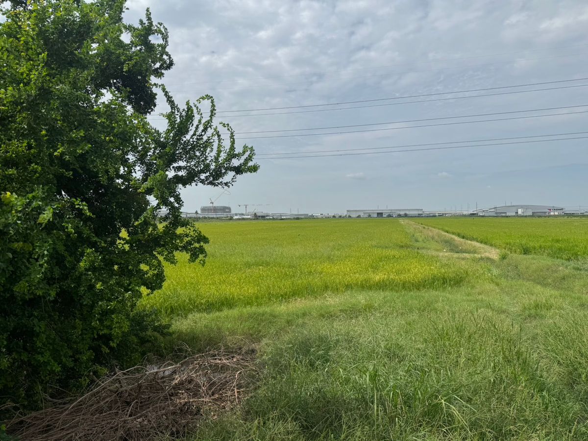 ขายที่ดินสมุทรปราการ สำโรง : ขายถูก ที่ดินแปลงสวย หน้านิคมอุตสาหกรรมเอเชีย สุวรรณภูมิ