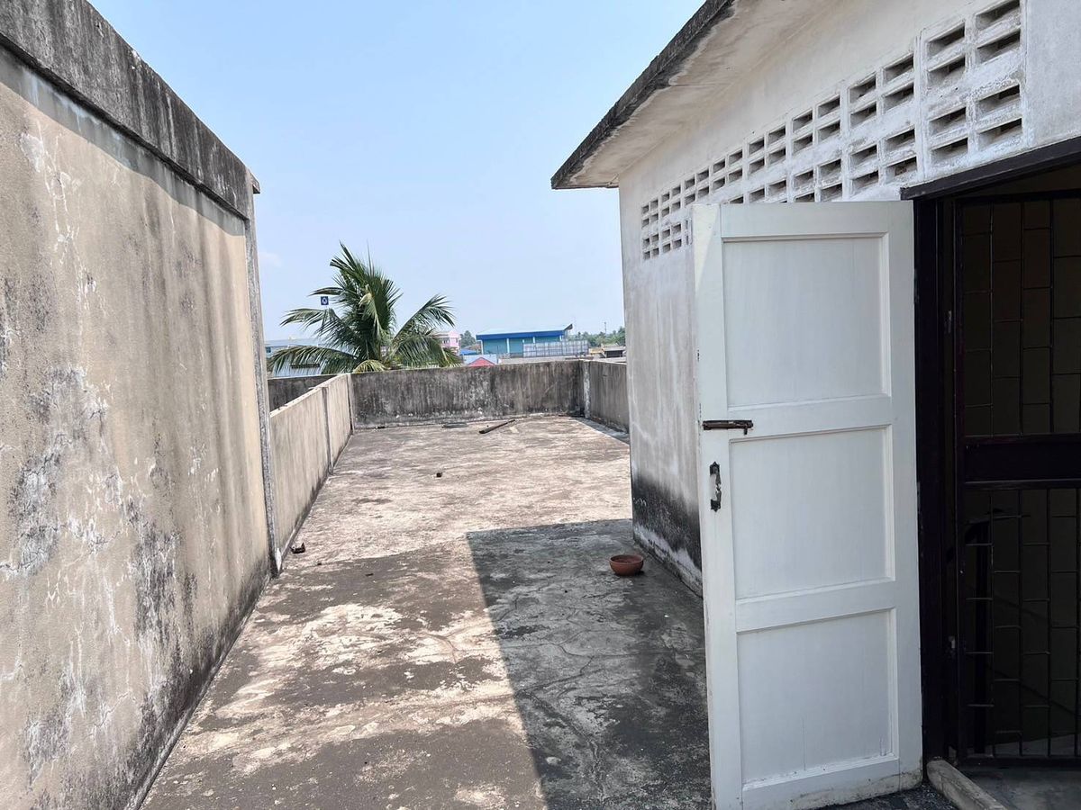 ขายอาคารพาณิชย์นครปฐม : ขาย อาคารพาณิชย์ 3 ชั้นครึ่ง ติดถนนทางเข้าตลาดเทศบาลสามพราน เหมาะทำธุรกิจค้าขาย ห้องเช่า