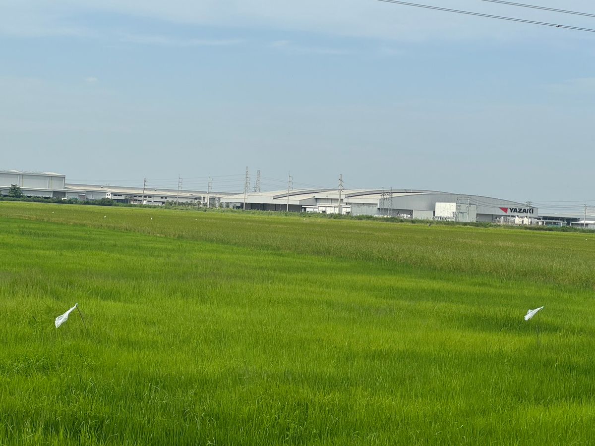 ขายที่ดินสมุทรปราการ สำโรง : ขายถูก ที่ดินแปลงสวย หน้านิคมอุตสาหกรรมเอเชีย สุวรรณภูมิ