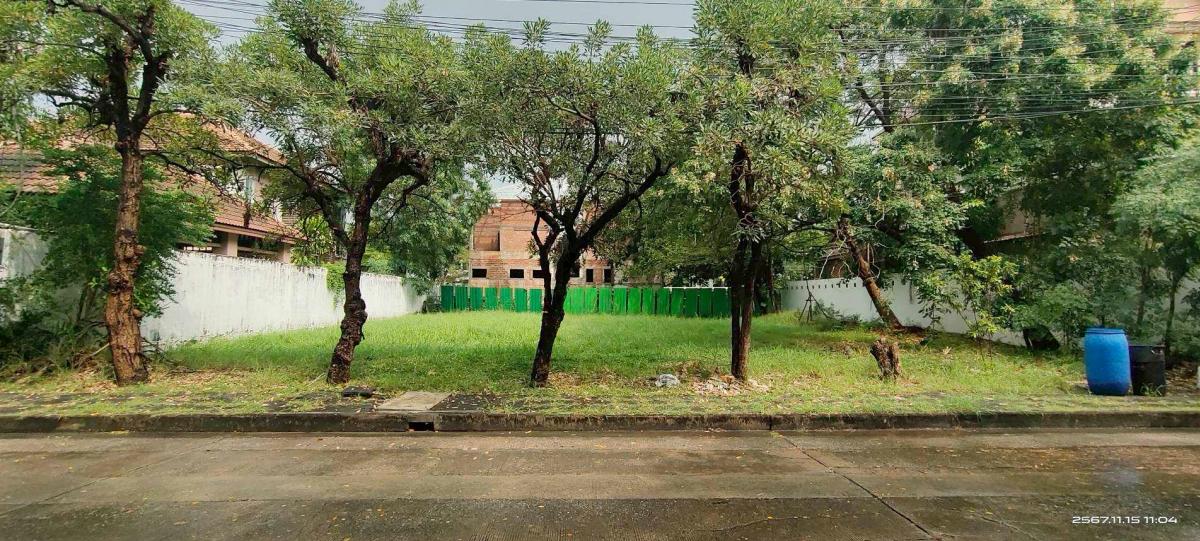 ขายที่ดินสมุทรปราการ สำโรง : 28/02/2026, ที่ดิน 150 ตร.วา ใกล้สนามบินสุวรรณภูมิ ราคาพิเศษ 8.25 ล้านเท่านั้น! ลงทุนทำเลทอง รับโอกาสเติบโตในโซน 11 เขตเศรษฐกิจสำคัญ