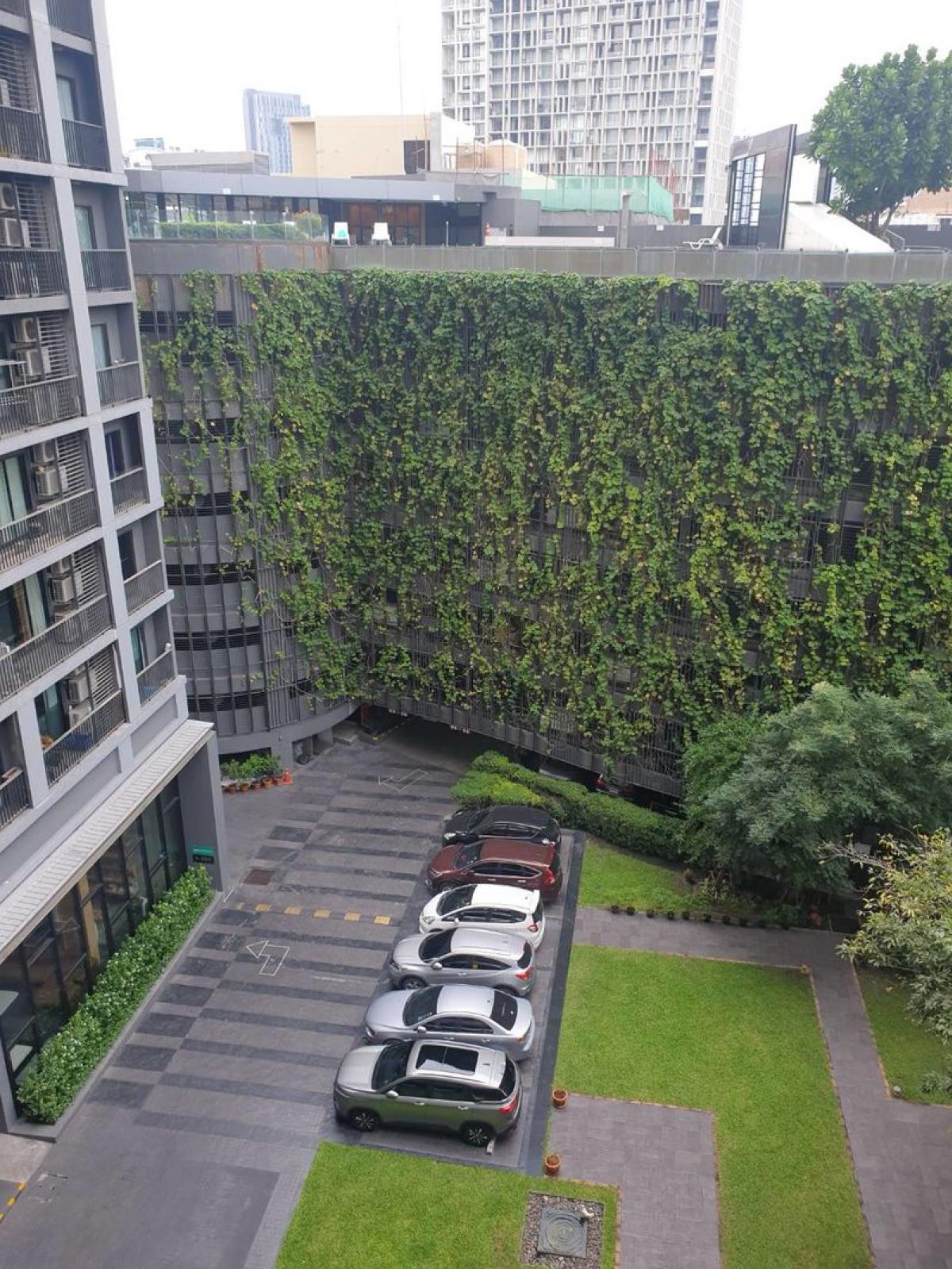 ขายคอนโดสาทร นราธิวาส : 03/04/2026, คอนโดวิวเมือง ใกล้ BTS ลุมพินี 2 ห้องนอน 2 ห้องน้ำ 
The Seed Mingle ขนาด 70.74 ตร.ม. ราคาพิเศษ 8.6 ลบ. พร้อมเช่า 39,000 บ./ด. 0642748883