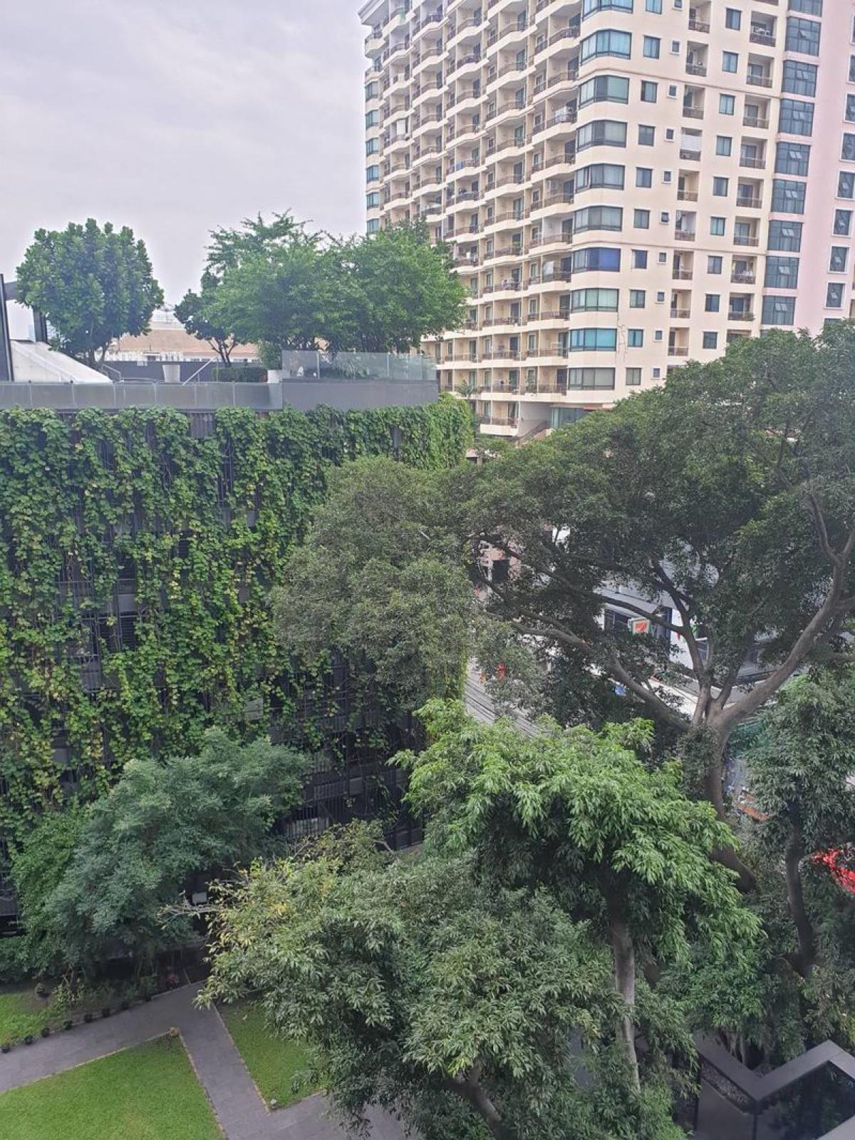 ขายคอนโดสาทร นราธิวาส : 03/04/2026, คอนโดวิวเมือง ใกล้ BTS ลุมพินี 2 ห้องนอน 2 ห้องน้ำ 
The Seed Mingle ขนาด 70.74 ตร.ม. ราคาพิเศษ 8.6 ลบ. พร้อมเช่า 39,000 บ./ด. 0642748883