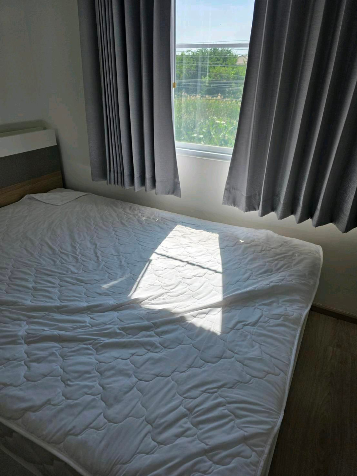 ให้เช่าทาวน์โฮมบางนา แบริ่ง ลาซาล : ทำเลทอง! หลังเมกาบางนา เดินเพียง 2 นาที บ้านว่างพร้อมเข้าอยู่ สามารถนัดดูได้ทุกวัน
อยู่โซนแรก ไม่รอดใต้ทางด่วน 💰 ราคาเช่า : 40,000 บาท/เดือนราคาต่อรองได้