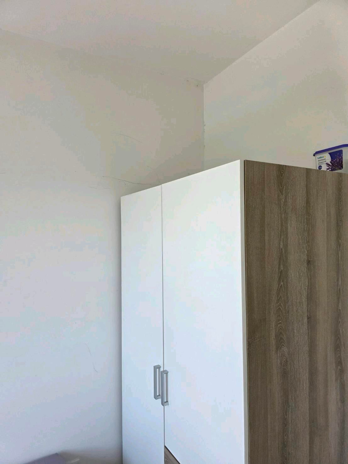 ให้เช่าทาวน์โฮมบางนา แบริ่ง ลาซาล : ทำเลทอง! หลังเมกาบางนา เดินเพียง 2 นาที บ้านว่างพร้อมเข้าอยู่ สามารถนัดดูได้ทุกวัน
อยู่โซนแรก ไม่รอดใต้ทางด่วน 💰 ราคาเช่า : 40,000 บาท/เดือนราคาต่อรองได้