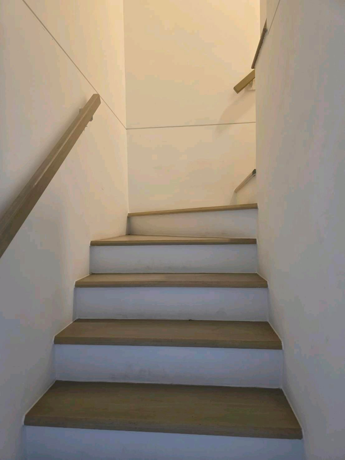 ให้เช่าทาวน์โฮมบางนา แบริ่ง ลาซาล : ทำเลทอง! หลังเมกาบางนา เดินเพียง 2 นาที บ้านว่างพร้อมเข้าอยู่ สามารถนัดดูได้ทุกวัน
อยู่โซนแรก ไม่รอดใต้ทางด่วน 💰 ราคาเช่า : 40,000 บาท/เดือนราคาต่อรองได้