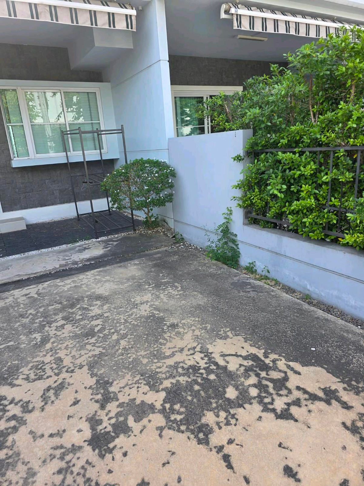 ให้เช่าทาวน์โฮมบางนา แบริ่ง ลาซาล : ทำเลทอง! หลังเมกาบางนา เดินเพียง 2 นาที บ้านว่างพร้อมเข้าอยู่ สามารถนัดดูได้ทุกวัน
อยู่โซนแรก ไม่รอดใต้ทางด่วน 💰 ราคาเช่า : 40,000 บาท/เดือนราคาต่อรองได้