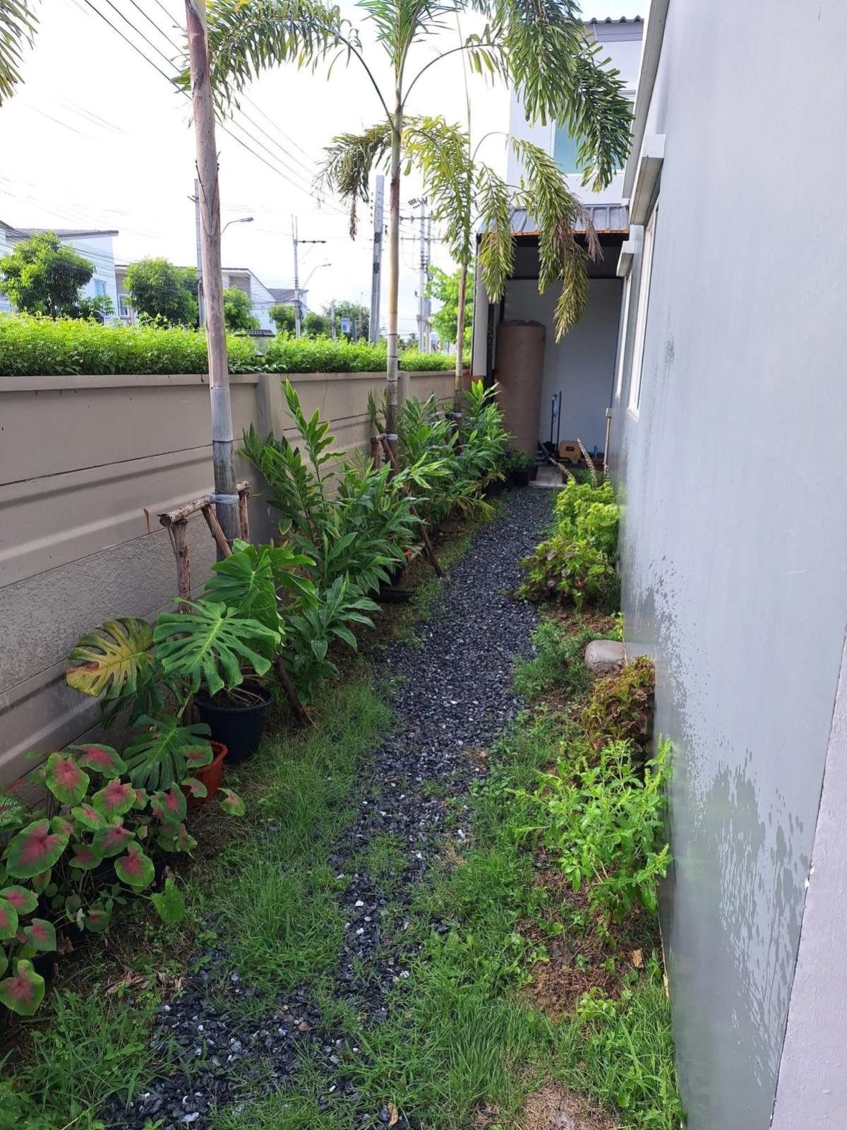 ขายทาวน์โฮมบางแค เพชรเกษม : ขายทาวน์เฮ้าส์/ทาวน์โฮม  กัสโต้ เพชรเกษม 69 - กาญจนาภิเษก หนองแขม เขต หนองแขม กรุงเทพ CX-133449