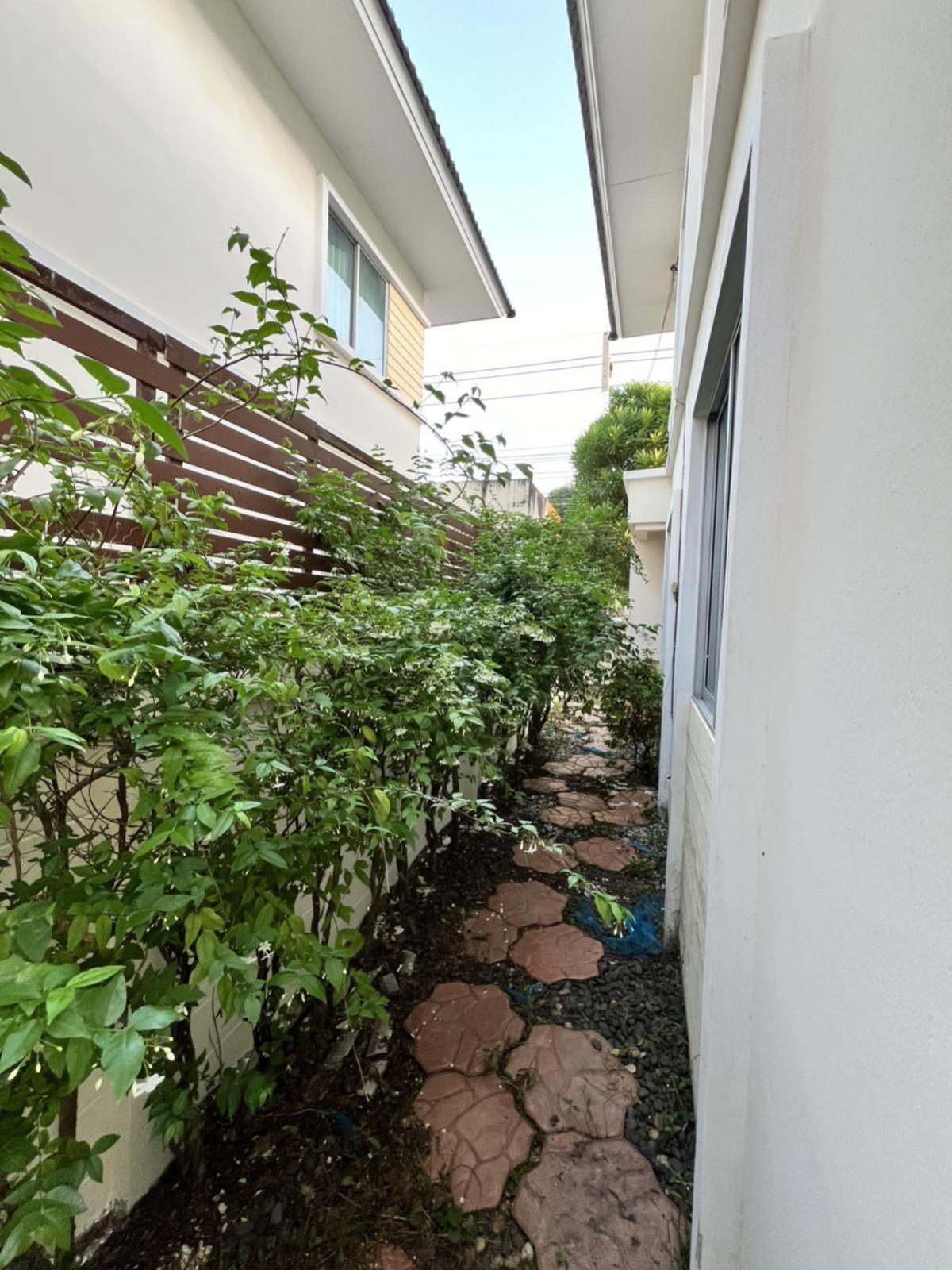 ขายบ้านมหาชัย สมุทรสาคร : ขายบ้าน  วิเศษสุขนคร เฟส 2 พันท้าย หน้ากว้าง พันท้ายนรสิงห์ เมืองสมุทรสาคร สมุทรสาคร CX-133415