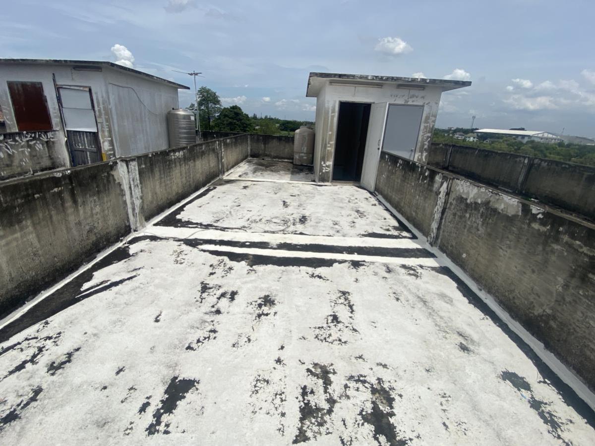 ขายอาคารพาณิชย์นนทบุรี บางใหญ่ บางบัวทอง : ขายอาคารพานิชย์ 3 ชั้น บางกรวย-ไทรน้อย นนทบุรี หน้ากว้าง บางบัวทอง บางบัวทอง นนทบุรี CX-133332