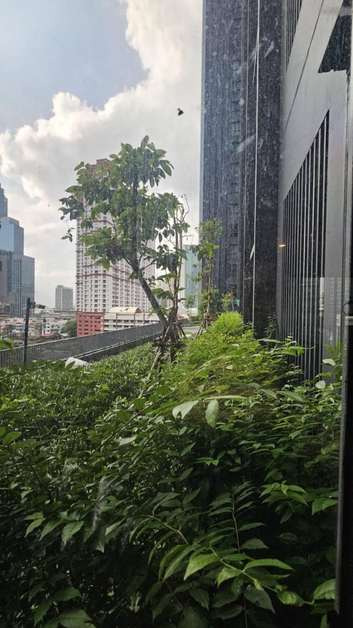 ขายคอนโดราชเทวี พญาไท : ขายคอนโด  ไอดีโอ คิว สยาม-ราชเทวี BTS-ราชเทวี ทุ่งพญาไท เขต ราชเทวี กรุงเทพ CX-130175