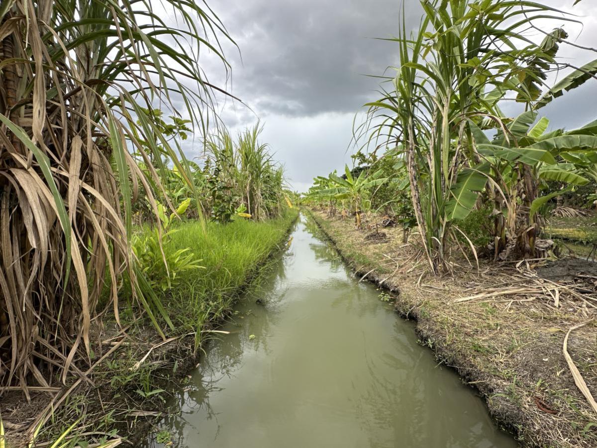 ขายที่ดินนนทบุรี บางใหญ่ บางบัวทอง : ขายที่ดินเปล่า พื้นที่ 7-0-90 บางใหญ่ นนทบุรี บางใหญ่ บางใหญ่ นนทบุรี CX-130776