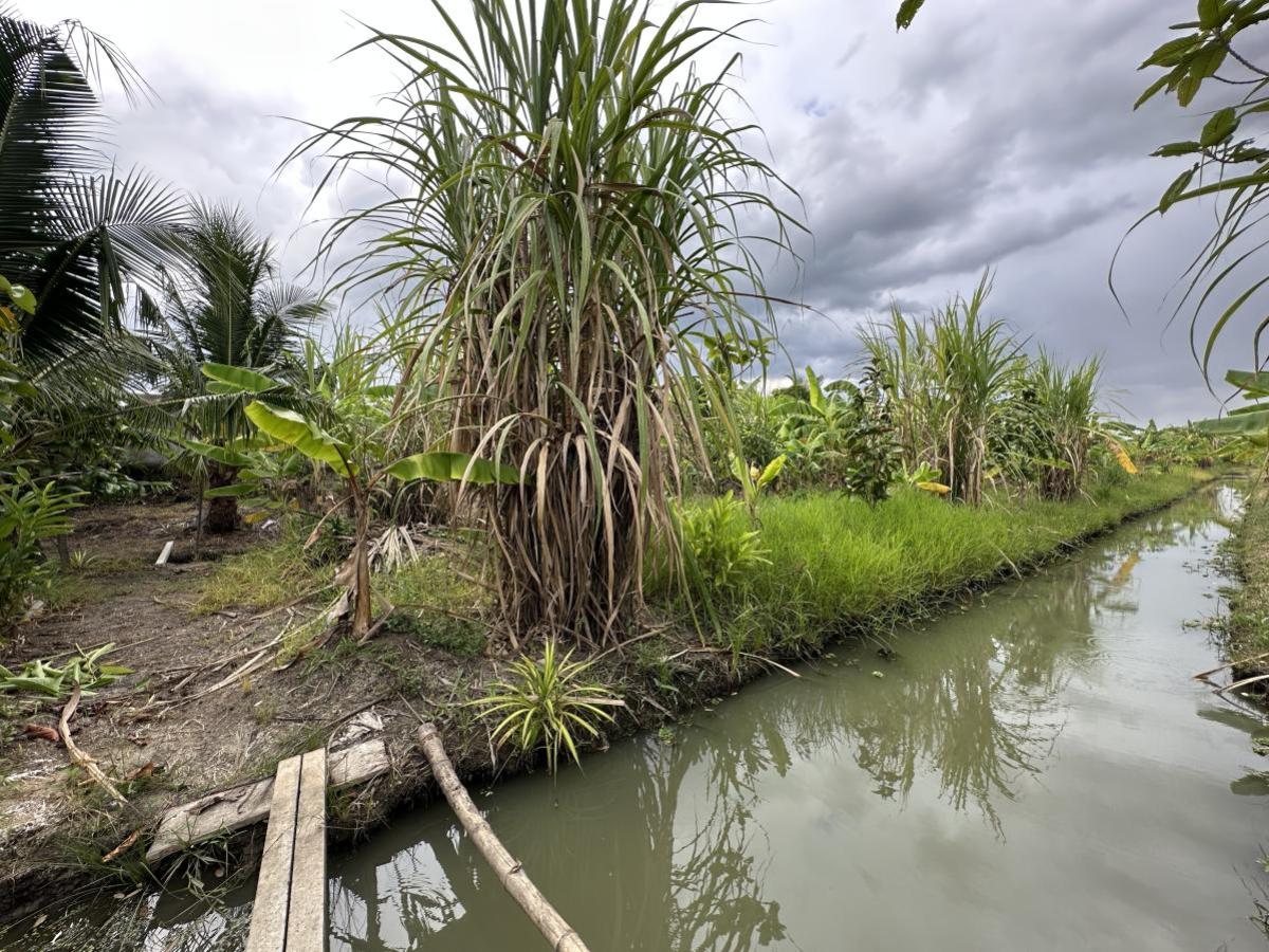 ขายที่ดินนนทบุรี บางใหญ่ บางบัวทอง : ขายที่ดินเปล่า พื้นที่ 7-0-90 บางใหญ่ นนทบุรี บางใหญ่ บางใหญ่ นนทบุรี CX-130776