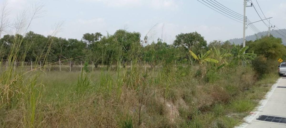 ขายที่ดินพัทยา บางแสน ชลบุรี สัตหีบ : ขายที่ดินทำเลทอง ใกล้ตลาดหนองมน อ.เมืองชลบุรี  จ.ชลบุรี CX-133167