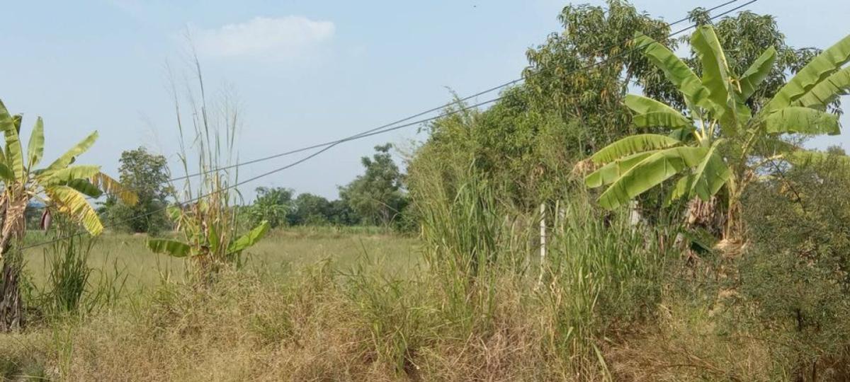 ขายที่ดินพัทยา บางแสน ชลบุรี สัตหีบ : ขายที่ดินทำเลทอง ใกล้ตลาดหนองมน อ.เมืองชลบุรี  จ.ชลบุรี CX-133167