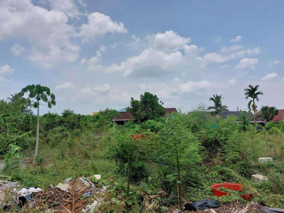 For SaleLandKoh Samui, Surat Thani : For Sale Vacant land , next to Asia Road, opposite Makro Surat Thani , Makham Tia , Mueang Surat Thani , Surat Thani , CX-132882