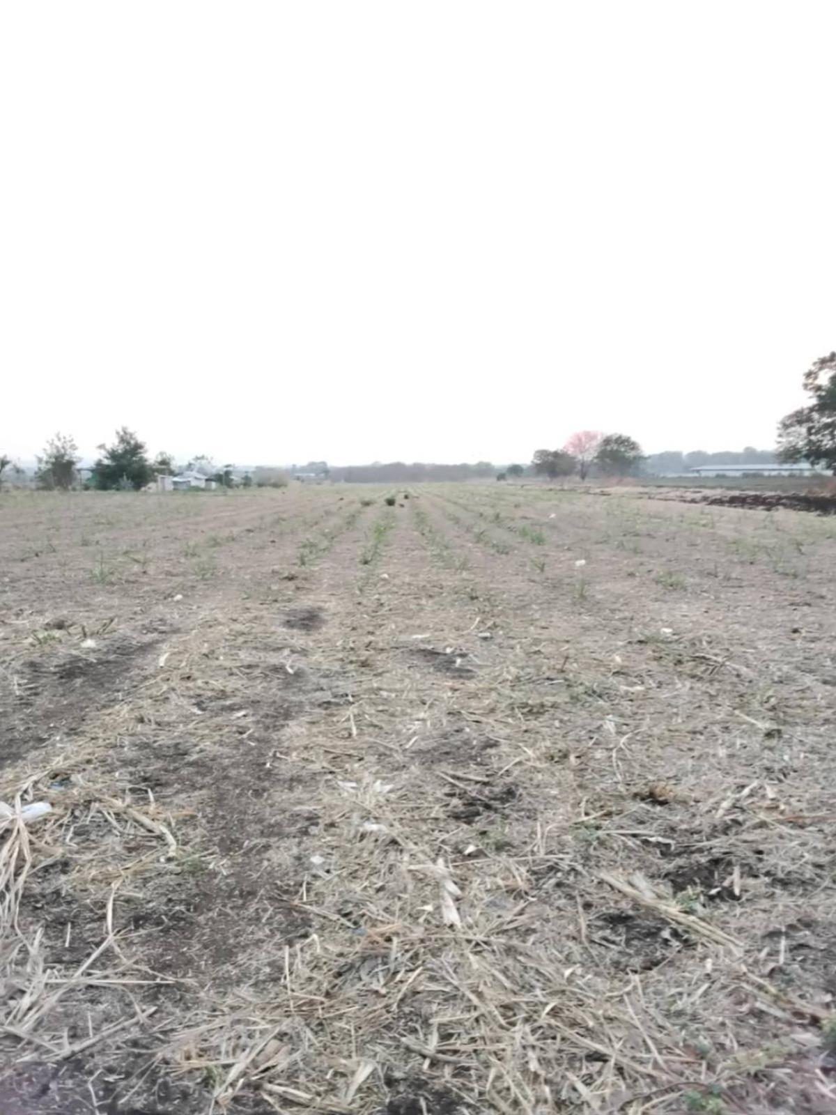 For SaleLandLop Buri : For Sale Vacant Land Phatthana Nikhom  Lopburi  CX-132784