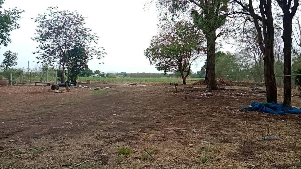 For SaleLandLop Buri : For Sale Vacant Land Phatthana Nikhom  Lopburi  CX-132784