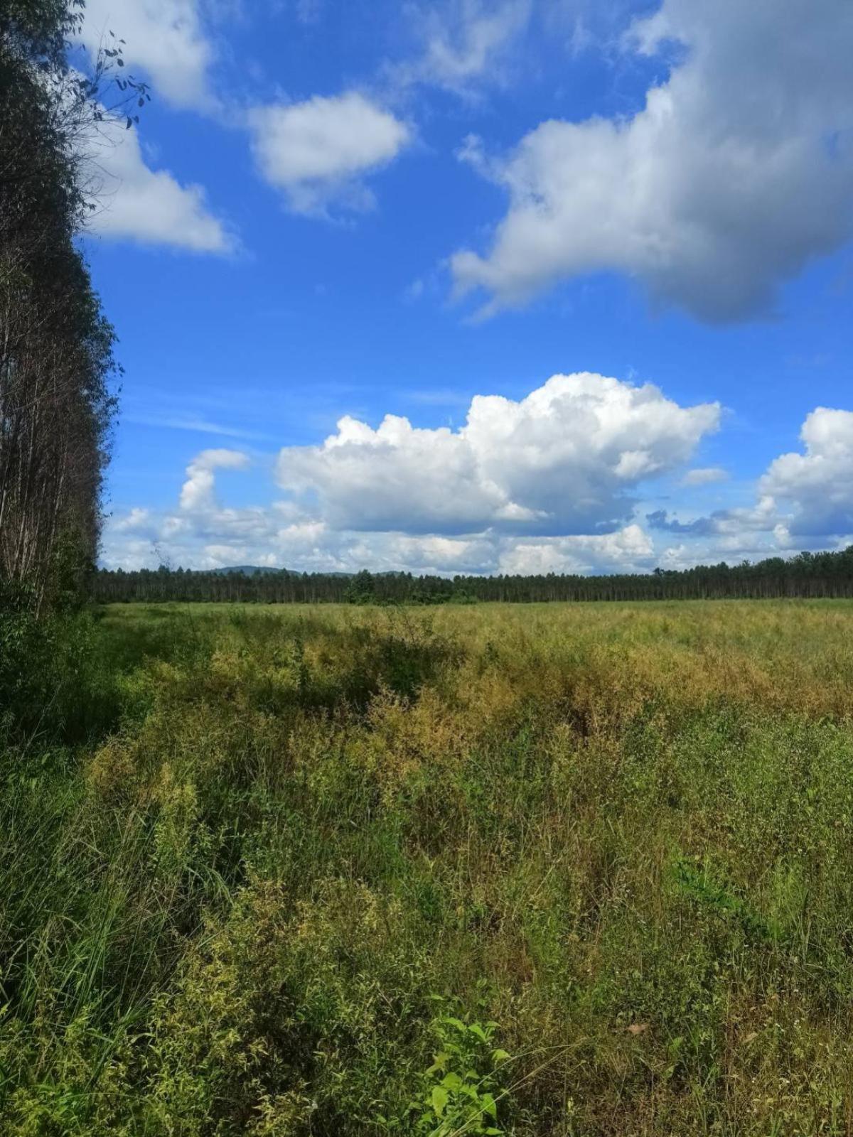 ขายที่ดินปราจีนบุรี : ขายที่ดิน อ.กบินทร์บุรี จ.ปราจีนบุรี  CX-132940