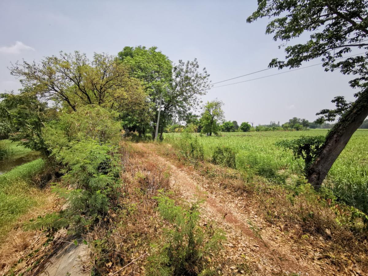 For SaleLandLop Buri : Large plot of land for sale in Khok Samrong , Lopburi  CX-133034