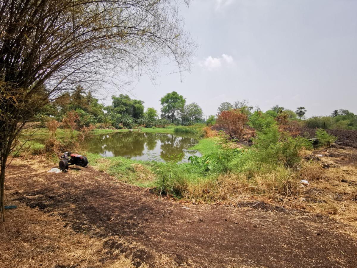 For SaleLandLop Buri : Large plot of land for sale in Khok Samrong , Lopburi  CX-133034