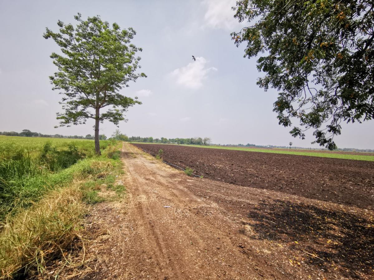 For SaleLandLop Buri : Large plot of land for sale in Khok Samrong , Lopburi  CX-133034