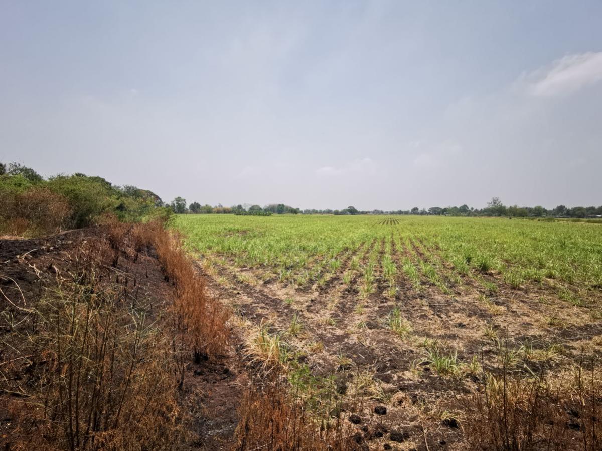 For SaleLandLop Buri : Large plot of land for sale in Khok Samrong , Lopburi  CX-133034