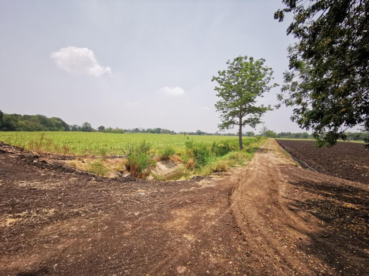 For SaleLandLop Buri : Large plot of land for sale in Khok Samrong , Lopburi  CX-133034