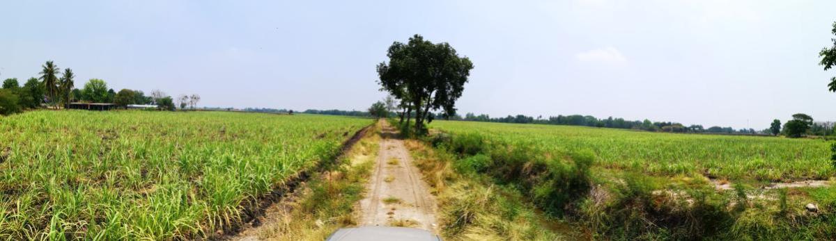 For SaleLandLop Buri : Large plot of land for sale in Khok Samrong , Lopburi  CX-133034