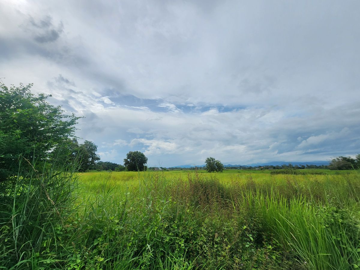 For SaleLandNakhon Nayok : Land for sale, high potential Next to the Yai Suwannasak Road, Nakhon Nayok - Suitable for developing projects/long -term investment