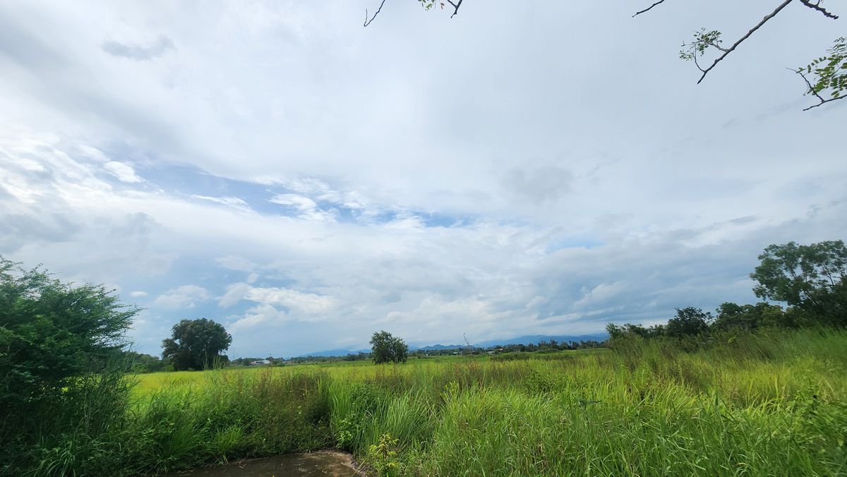 For SaleLandNakhon Nayok : Land for sale, high potential Next to the Yai Suwannasak Road, Nakhon Nayok - Suitable for developing projects/long -term investment