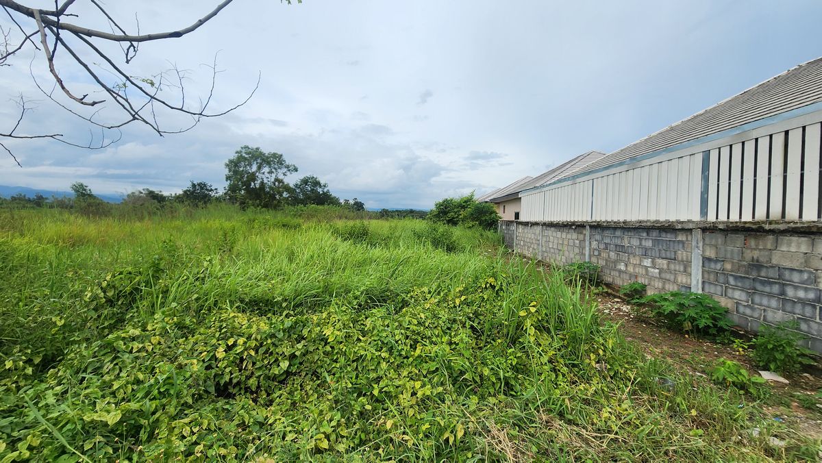 For SaleLandNakhon Nayok : Land for sale, high potential Next to the Yai Suwannasak Road, Nakhon Nayok - Suitable for developing projects/long -term investment