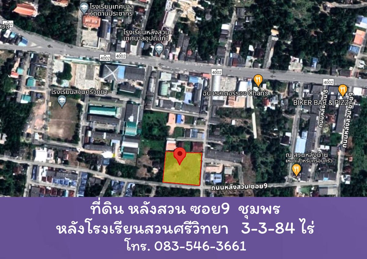 For SaleLandChumphon : Lang Suan Chumphon Land, Suan Sri Witthaya School