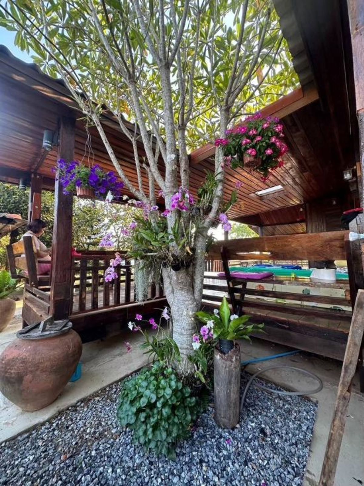 ขายที่ดินจันทบุรี : บ้านพร้อมที่ดิน ท่าใหม่ จันทบุรี บรรยากาศบ้านสวนธรรมชาติ  