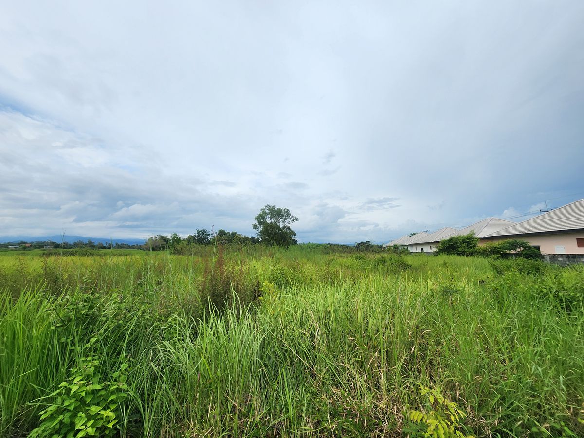 For SaleLandNakhon Nayok : Land for sale, high potential Next to the Yai Suwannasak Road, Nakhon Nayok - Suitable for developing projects/long -term investment