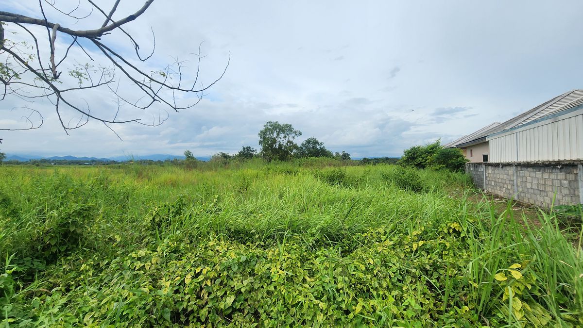 For SaleLandNakhon Nayok : Land for sale, high potential Next to the Yai Suwannasak Road, Nakhon Nayok - Suitable for developing projects/long -term investment