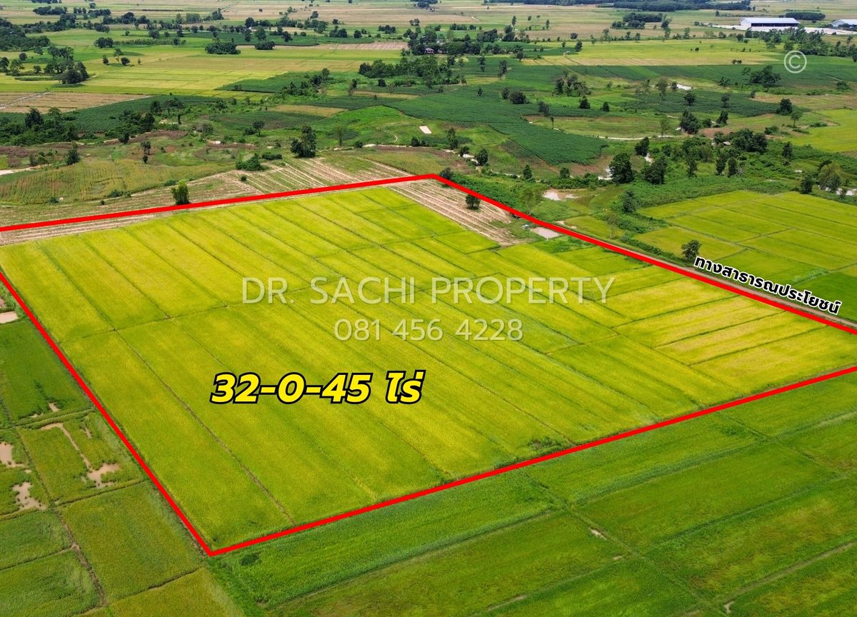 ขายที่ดินเชียงราย : ขายที่ดิน 32 ไร่ 45 ตรว. พื้นที่สีม่วง (ใกล้ด่านเชียงของ) ต.ศรีดอนชัย อ.เชียงของ จ.เชียงราย 