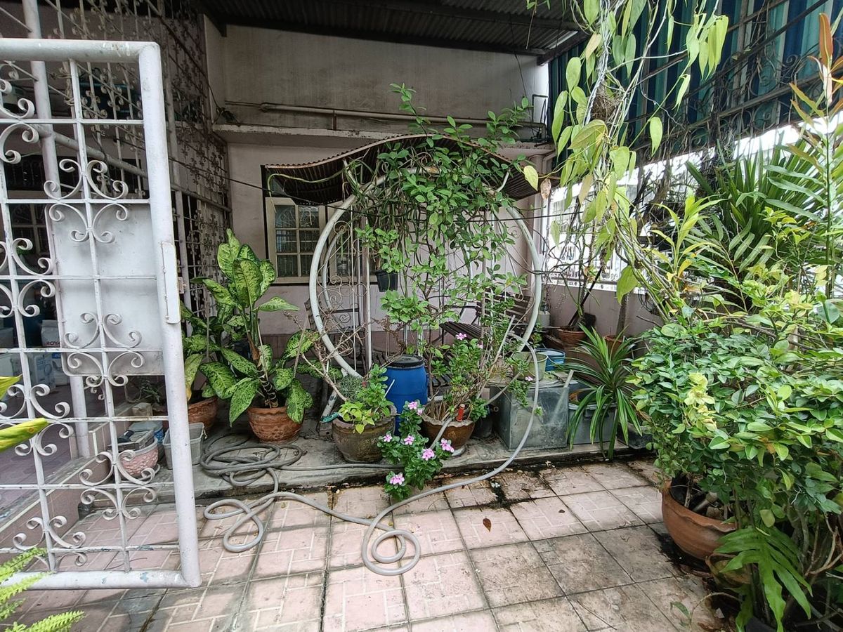 ขายทาวน์โฮมพระราม 2 บางขุนเทียน : อาคารพาณิชย์ 1 คูหา หมู่บ้านอมรชัย 4 พระราม 2 ซอย 77 สภาพใช้