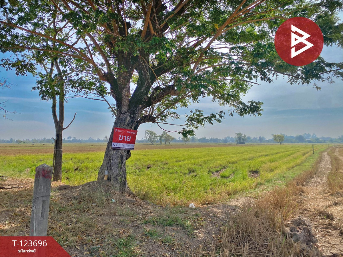 ขายที่ดินขอนแก่น : ขายที่ดิน เนื้อที่ 5 ไร่ 2 งาน 10 ตารางวา น้ำพอง ขอนแก่น