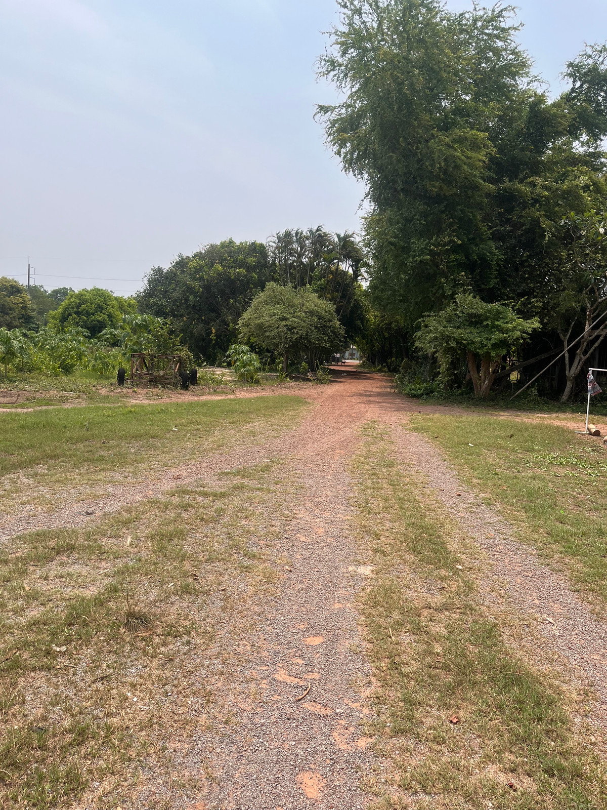 ขายที่ดินปราจีนบุรี : ขายที่ดินทำเลศักยภาพ  50 ไร่กว่า ติดถนนดำ ในเมือง ปราจีนบุรี