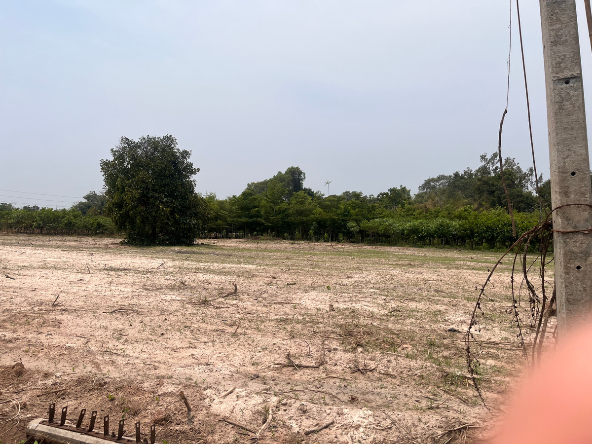 ขายที่ดินปราจีนบุรี : ขายที่ดินทำเลศักยภาพ  50 ไร่กว่า ติดถนนดำ ในเมือง ปราจีนบุรี