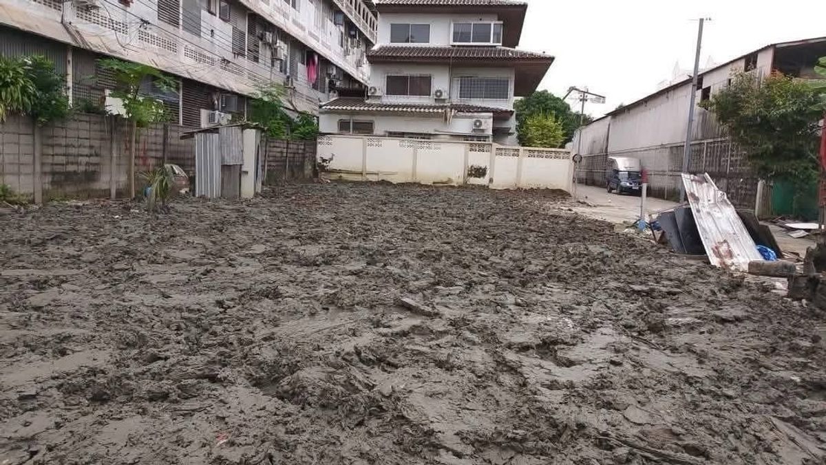 ที่ดินอ่อนนุช อุดมสุข : 📢👇ที่ดินถมแล้ว เดินทางสะดวกหลายเส้นทาง ใกล้จุดขึ้นลงทางด่วน สุขุมวิท 62 เหมาะสำหรับสร้างบ้าน อาคารสำนักงาน ทาวน์โฮม โฮมออฟฟิศ