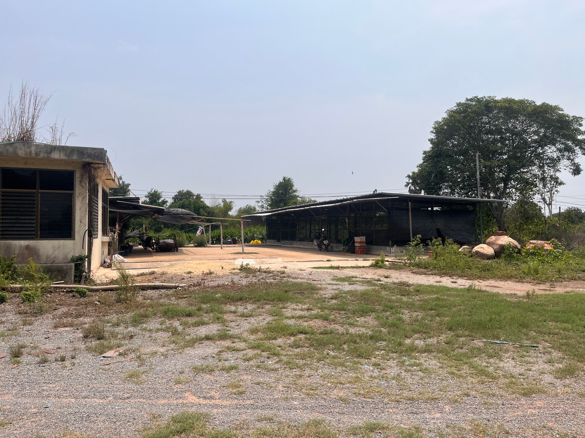 ขายที่ดินปราจีนบุรี : ขายที่ดินทำเลศักยภาพ  50 ไร่กว่า ติดถนนดำ ในเมือง ปราจีนบุรี